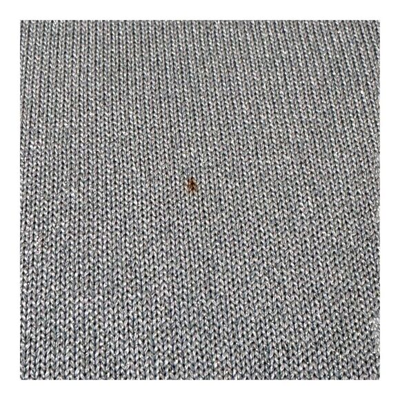 St. John Womens Silver Metallic Knit Tank Top Camisole Under Shirt Size M READ - Picture 3 of 5